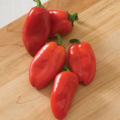 Picture of Lunchbox Red Sweet Pepper